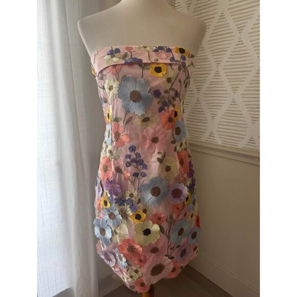 NWT Gigi & Ella Size 8 Medium Wren Pink Strapless 3D Garden Flowers Dress - Picture 3 of 9